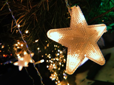 Christmas Dreams